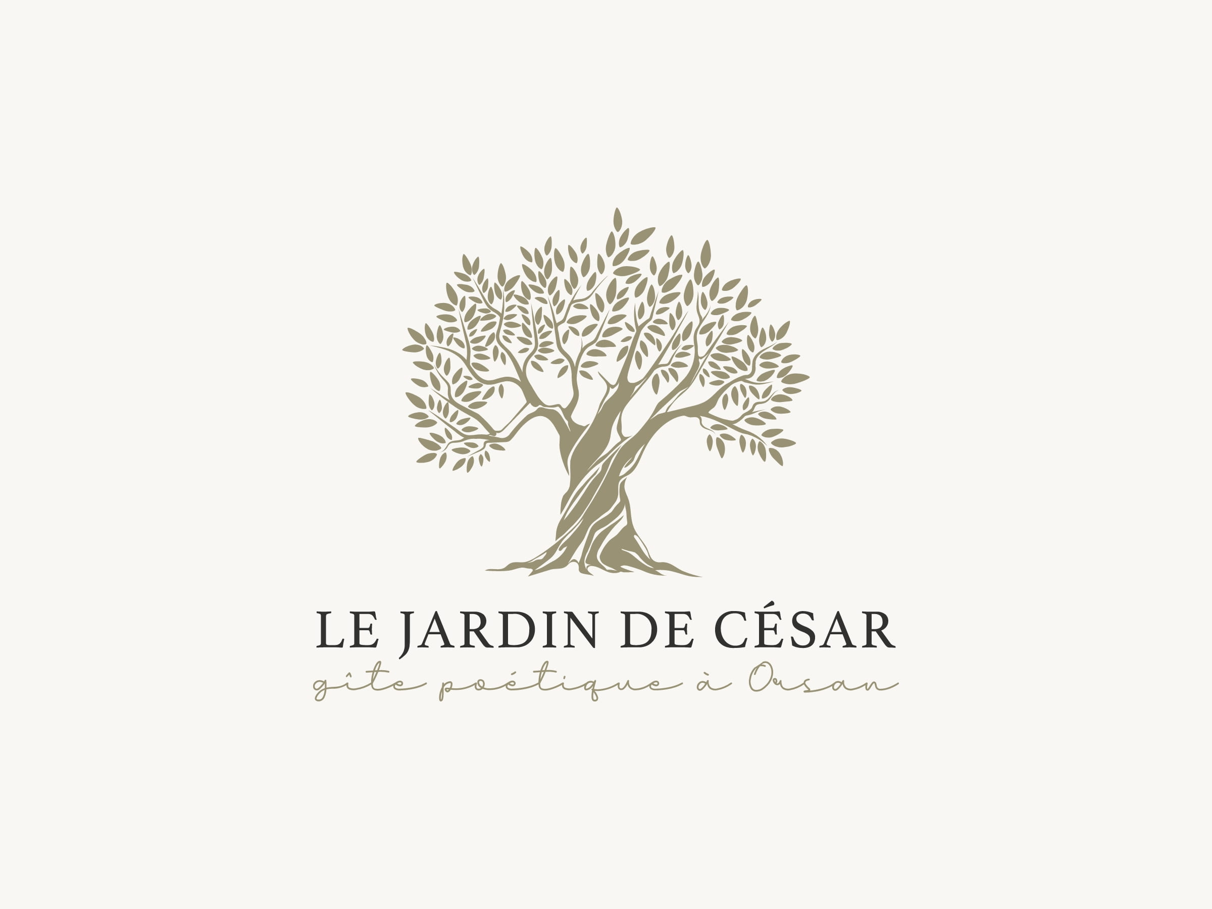 Création thème WordPress sur-mesure pour Le Jardin de César